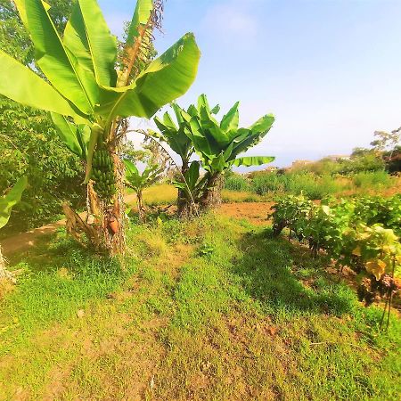 Casa En Finca Ecologica - Wifi La Orotava Exteriör bild