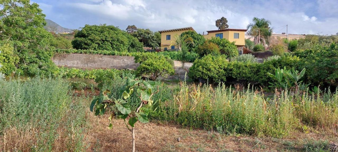 Casa En Finca Ecologica - Wifi La Orotava Exteriör bild
